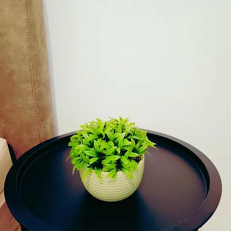 Alacaster B Apartment